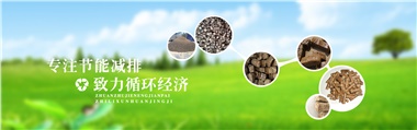 倪維斗院士：通過(guò)技術(shù)創(chuàng)新，大力發(fā)展超級(jí)能源生物質(zhì)燃料